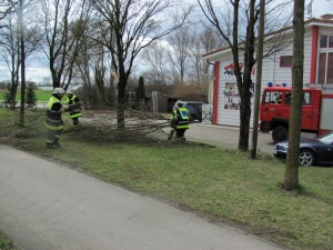 2015 Einsatz Nr. 29-42 - Sturmschäden